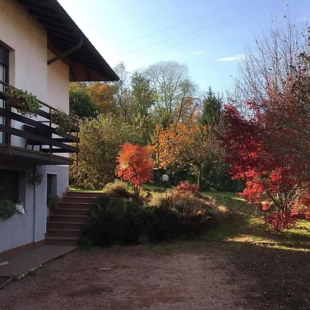 Perros Hermanos B&B Travedona